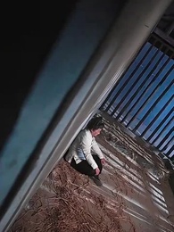 第46集 - 女帝攻略手册