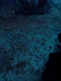 仙二代的日常生活 - Episode 73