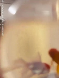 老婆在我坟头蹦迪后 - Episode 44