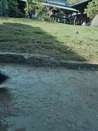 至尊武皇 - Episode 1