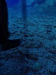 仙二代的日常生活 - Episode 40