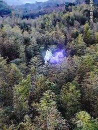 绝世武魂 - Episode 10