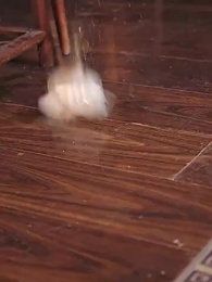 太上武神决 - Episode 2