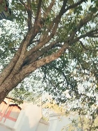 至尊武皇 - Episode 75