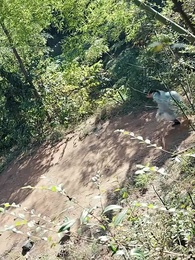 至尊武皇 - Episode 54