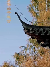 绝世武魂 - Episode 130