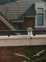 第77話 - 誤解から始まった恋