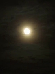 79화 - 왕비는 애교쟁이