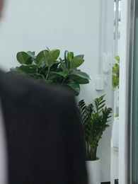 The Double Life Of Lady CEO - Episode 11