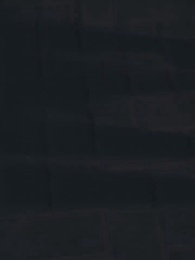 第77集 - 殘疾大佬愛上我