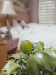 第16集 - 殘疾大佬愛上我