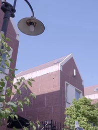 第73集 - 殘疾大佬愛上我