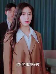 第85集 - 離婚後,蘇小姐的前夫又來了