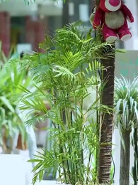 Tập 18 - Vợ Nghèo Là Sếp Lớn