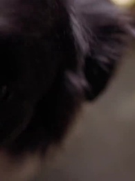 Mommy, Don't Refuse Daddy This Time - Episode 29