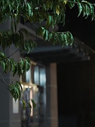 Mommy, Don't Refuse Daddy This Time - Episode 63