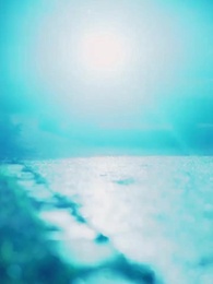 Episode 77 - The Wallflower And The Alphas