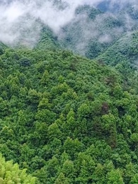 The Wallflower And The Alphas - Episode 56