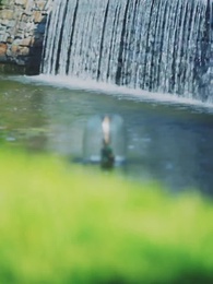 Episode 90 - The Wallflower And The Alphas