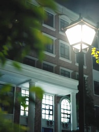 Episode 49 - The Wallflower And The Alphas