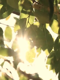 When Love Crosses the Line - Episode 62