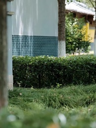 偭北戰神：孤注一擲 - Episode 42