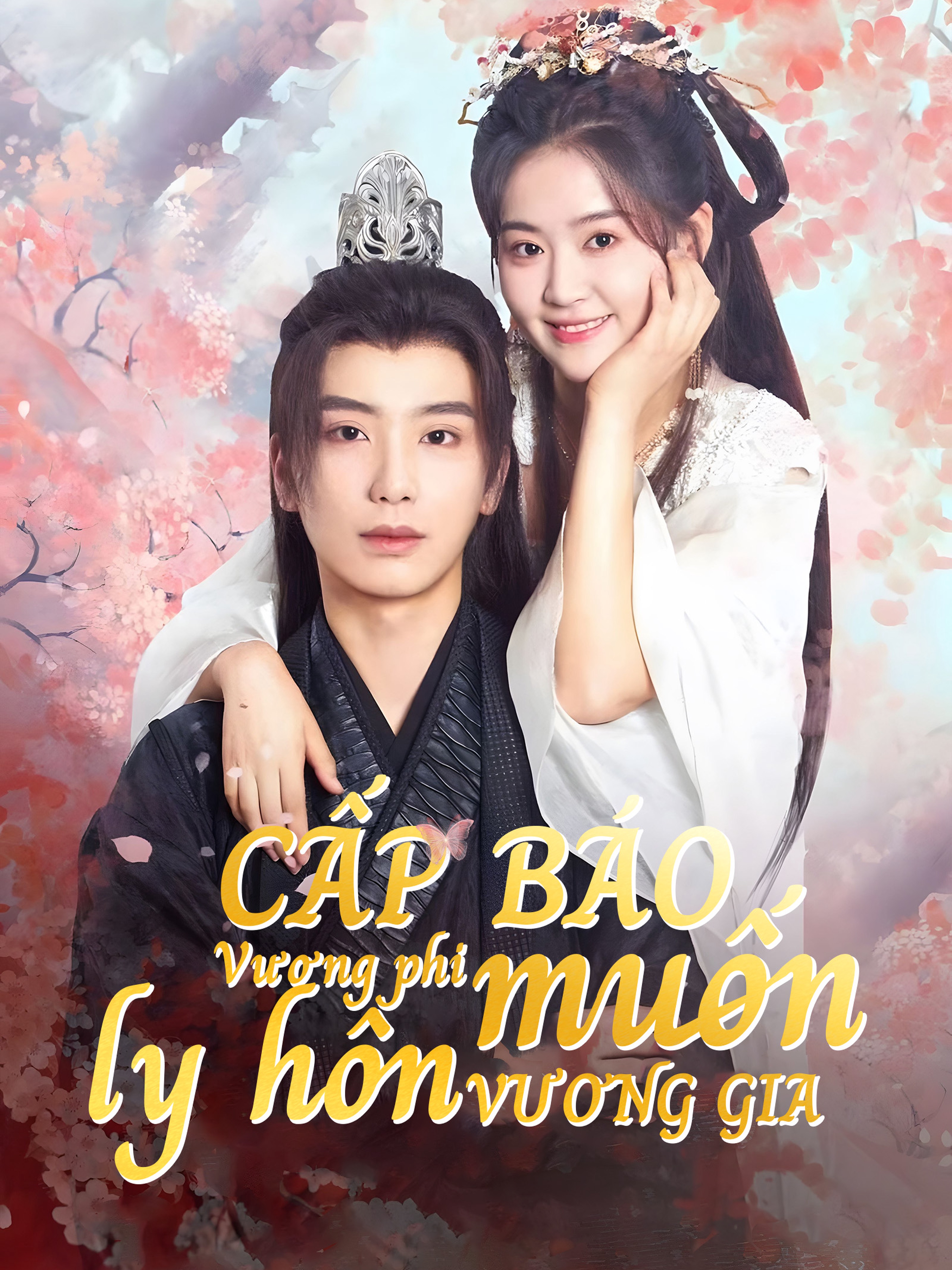 Cấp báo, Vương phi muốn ly hôn Vương gia