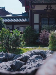 Cấp báo, Vương phi muốn ly hôn Vương gia - Episode 22