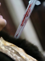 Pendekar Wanita - Episode 25