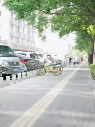 Episode 80 - Istriku Adalah Presdir