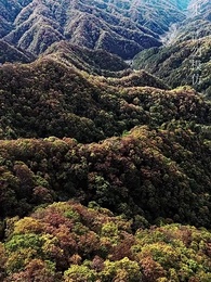 第1集 - 公主別怕，臣來救駕