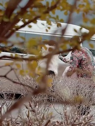 第12集 - 撥開雲霧說愛你