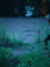 第1集 - 都市禁主