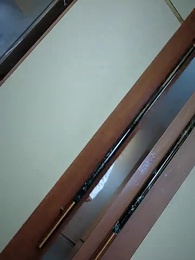 第81集 - 都市禁主