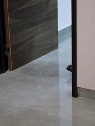 第71集 - 影帝夫人又去當群演了