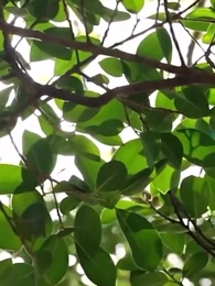 穿越後公主猛追夫- - Episode 57