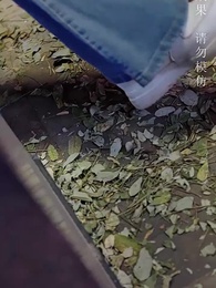 公主別怕，臣來救駕 - Episode 4