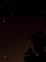 Episode 49 - Keinginan Terlarang: Cinta Alpha