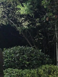 元ワイフの攻略 - Episode 95