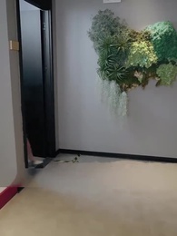 [Dubbed] Mr. Sandoval, Let's Exchange Again - Episode 78