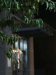 ตอนที่ 63 - ผมเป็นคุณพ่อลูกติด
