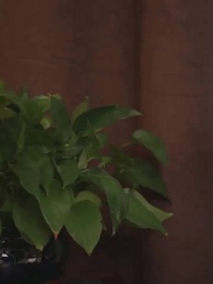 私の奥さんはなんかあざとい - Episode 88