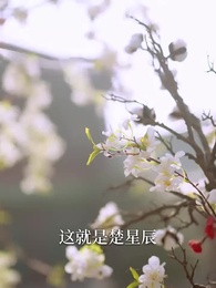 昨夜星辰又逢君 - Episode 11