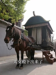 昨夜星辰又逢君 - Episode 34