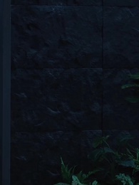 Revenge on my ex-husband - Episode 56