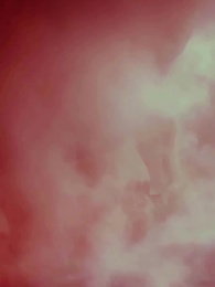 The Eternal Will - Episode 45