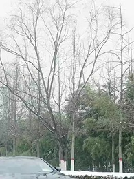 Episode 74 - Cinta Tersembunyi