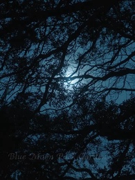 Episode 42 - The unwanted mate