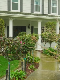 Episode 85 - The unwanted mate