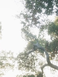 Episode 62 - Bara Dendam